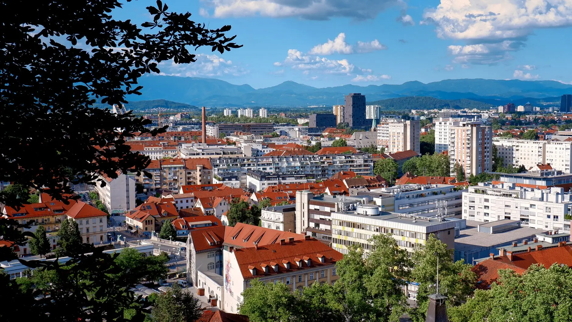 Program Zvestobe Ljubljana